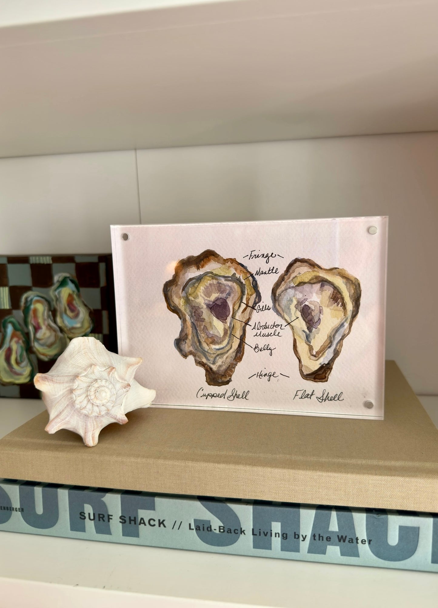 Anatomy of an Oyster No.2