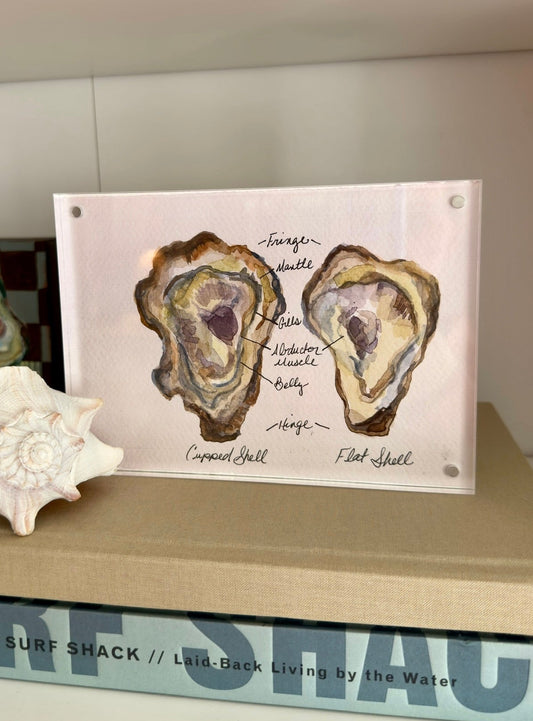 Anatomy of an Oyster No.2