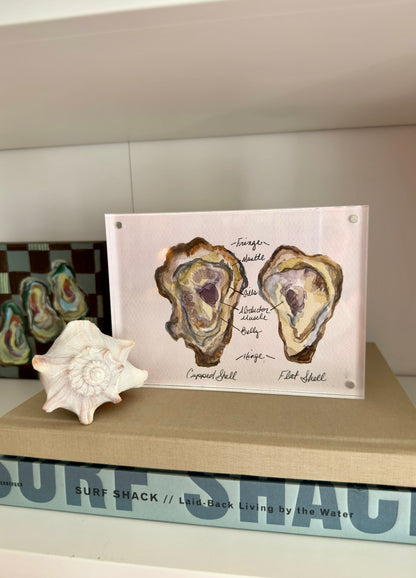 Anatomy of an Oyster No.2