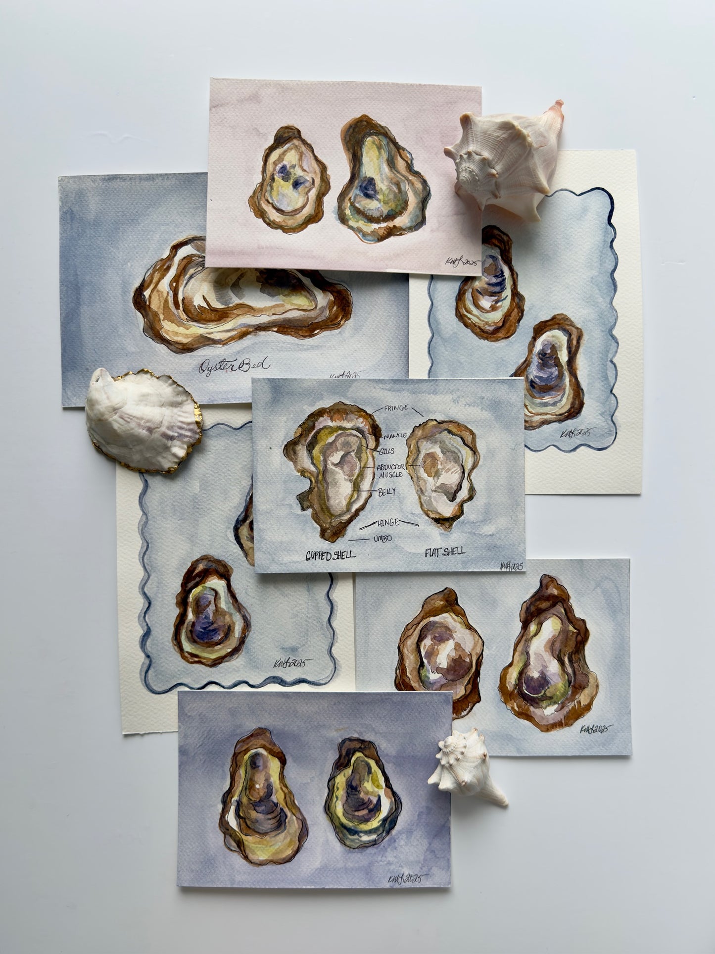 Oyster No.4