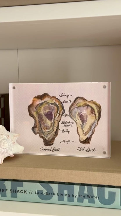 Anatomy of an Oyster No.2